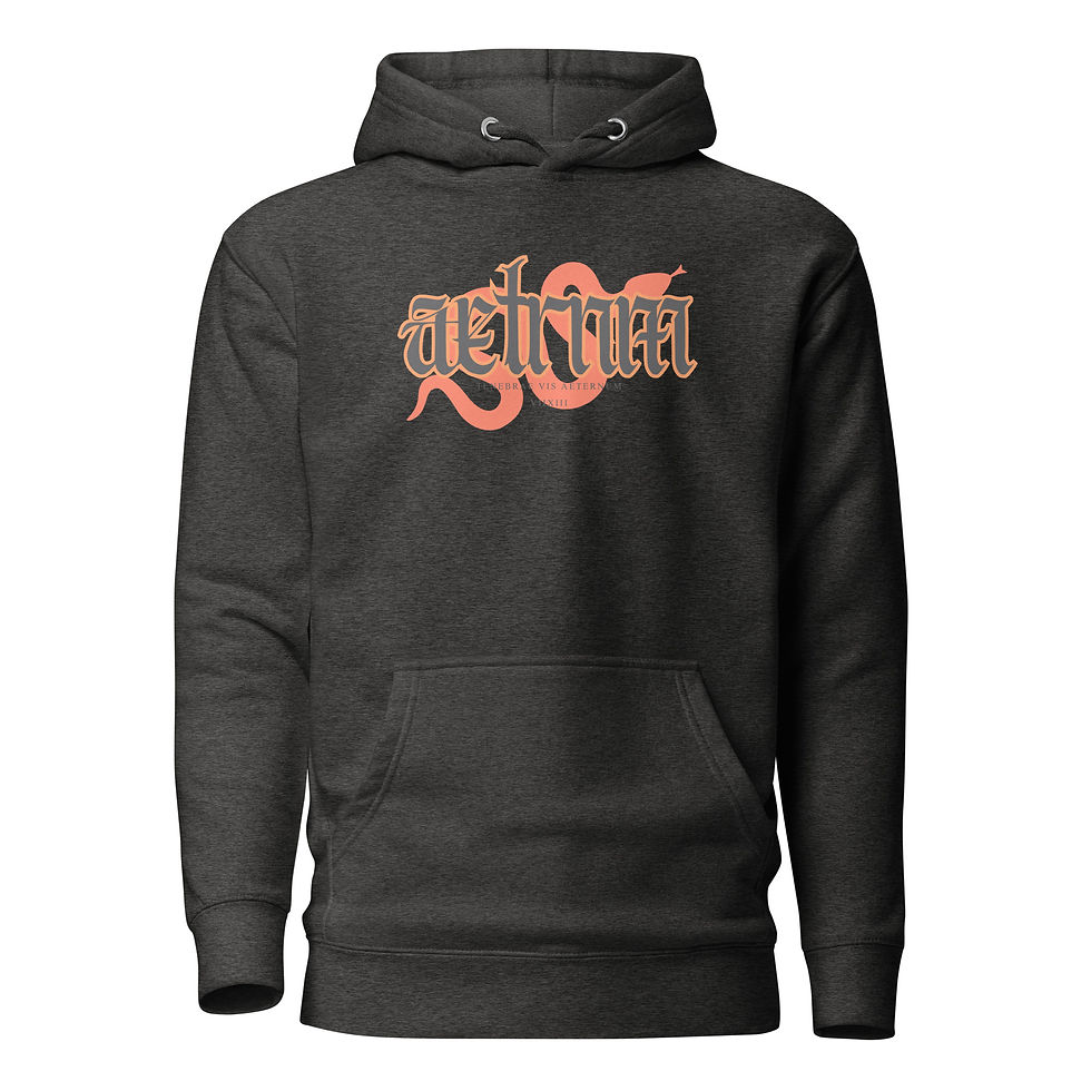 Thumbnail: Orange AETRNM Unisex Hoodie