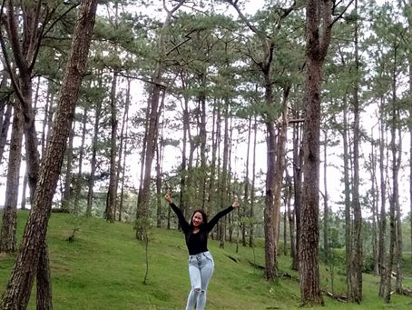 From Strawberries to Sunsets: Baguio in Every Hue