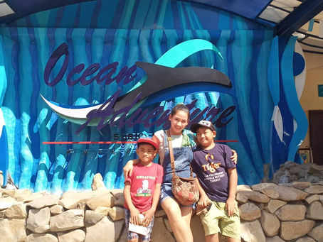 Beyond the Shore, Discover More at Ocean Adventure!