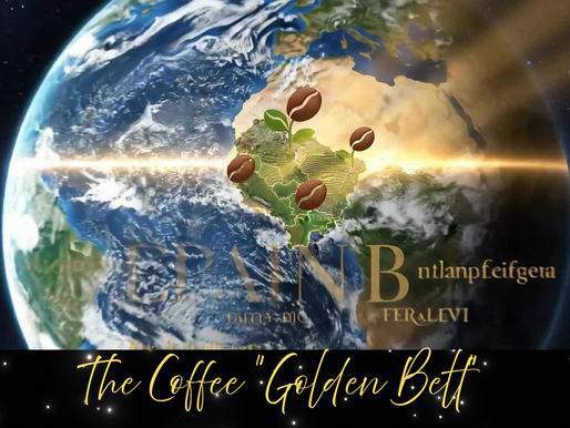 The Coffee "Golden Belt"
