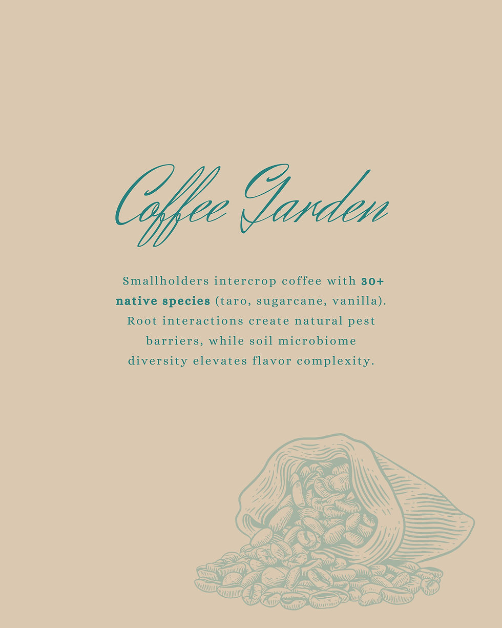 Thumbnail: AASTA ‧ Paradisaea Raggiana