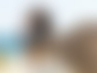 Instituts de Thalassothérapie Thalazur réouverts !