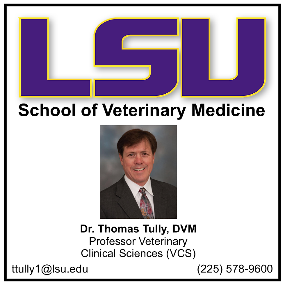 TULLY2020
