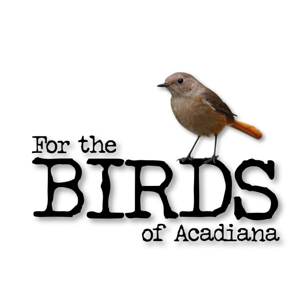 aria-label.authors-picture: For The Birds