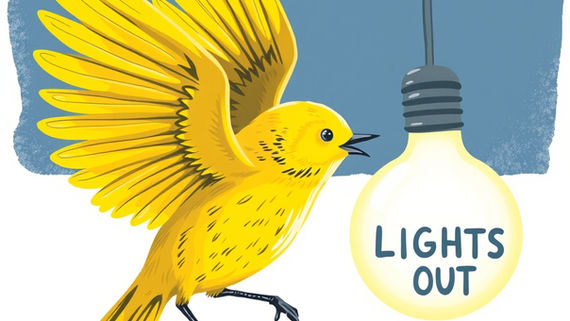 Lights Out Louisiana