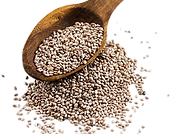 bulk white chia_edited.png