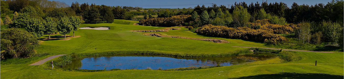 Balbriggan Golf Club golf course