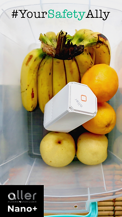 STORIES fruit box nano.png