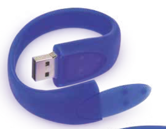 Miniatura: Manilla Snake