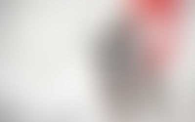 Alt text: A heavily armored Titan Guardian from Destiny 2 stands amid swirling white smoke, wearing white, black, and red armor marked with a lion crest. A red banner with matching heraldic imagery hangs behind them, creating a dramatic, noble battlefield portrait.