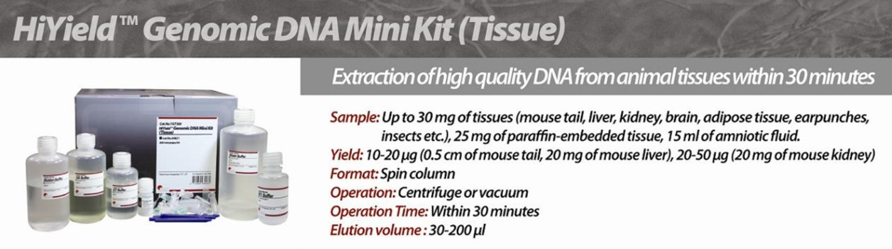 HiYield Genomic DNA Mini Kit (Tissue)