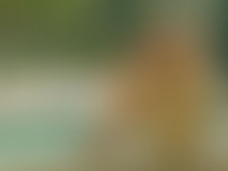 Marrakech: a city where fairy tales come to life