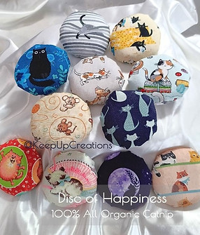 Disc of Happiness Grouping 2026.jpg