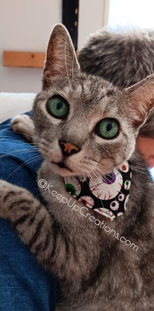 Silver in bandana