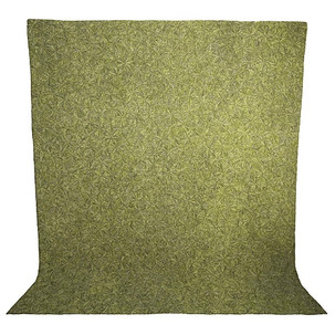 Sand Dollar in Green