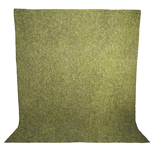 Sand Dollar in Green