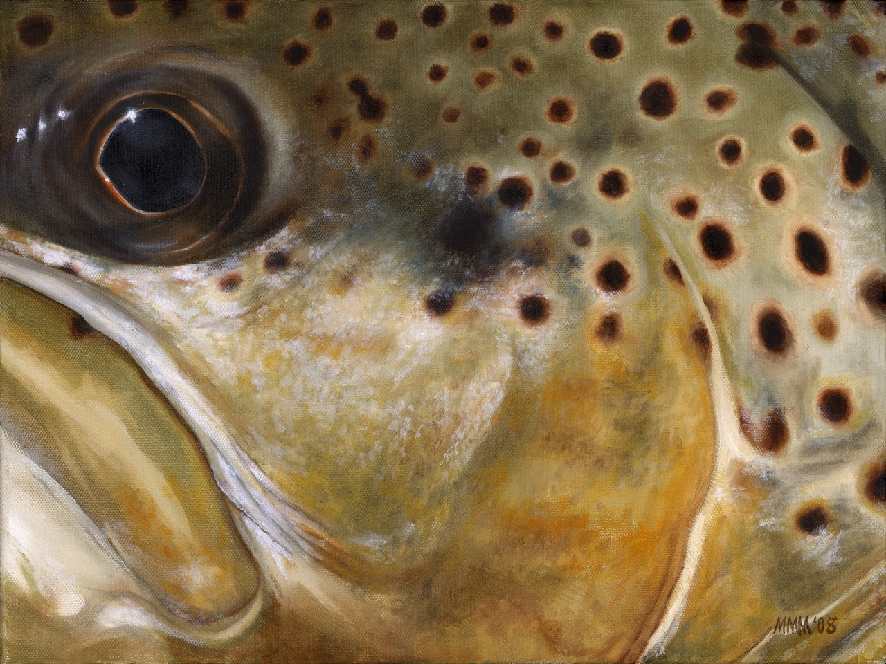 Brown Trout