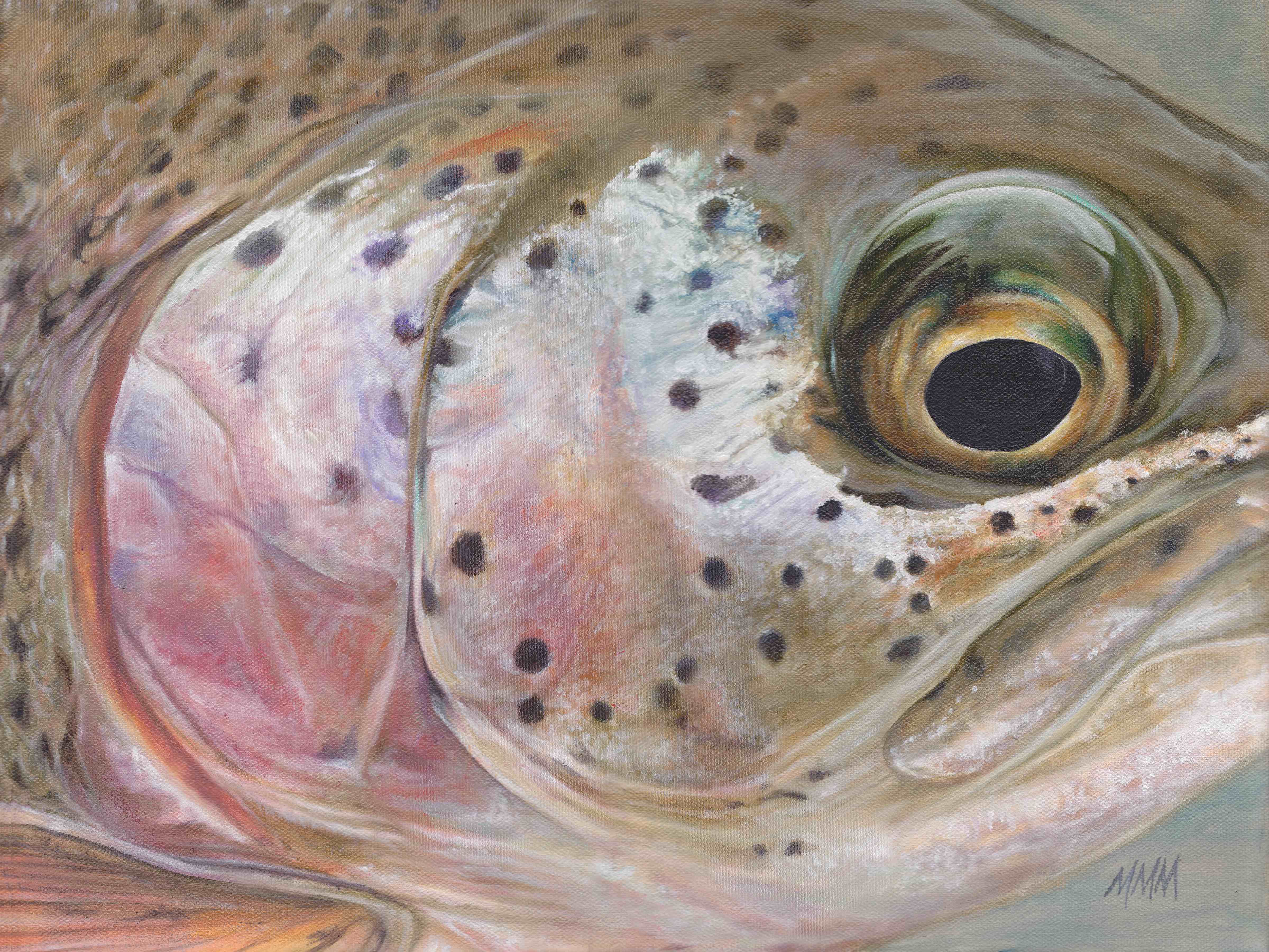 Rainbow Trout