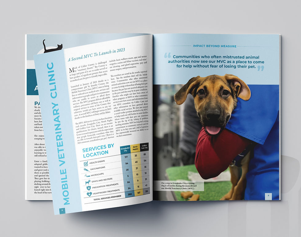 An example of a well designed annual report