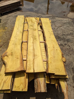 PXL_20220613_152308581