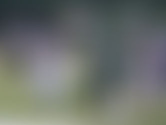 Picayune holds off Poplarville 28-20