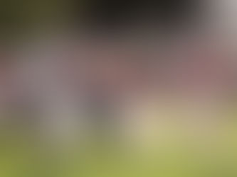 Picayune beats Gautier 42-35 in overtime