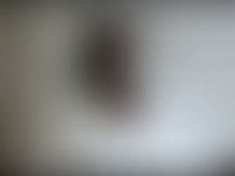 Suspect arrested after refusing to stop