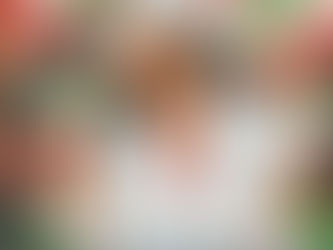 Chapel Hart announces "DEBUT CHRISTMAS ALBUM LISTENING PARTIES"