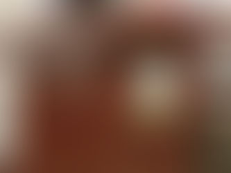 City Council hears update on use tax and BP settlement money from local legislators