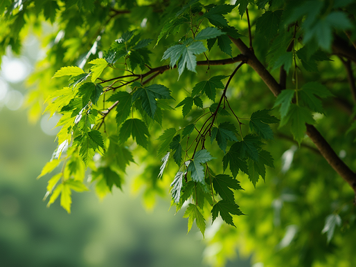 Unveiling the Enigma: How #Emilie Transforms into a Swarm of Cyber Bees for Social Change