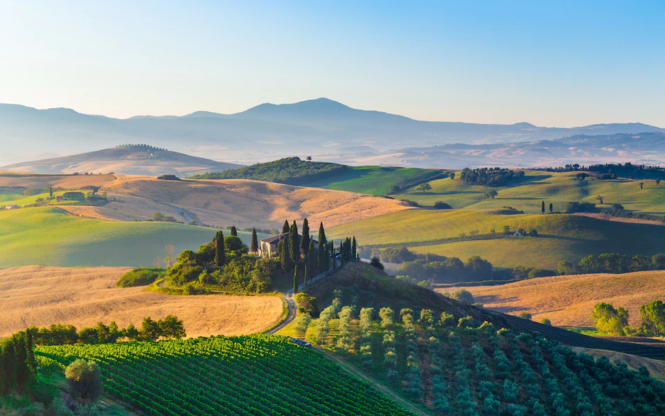 Italian Dinner Series: Tuscany Feb 25th