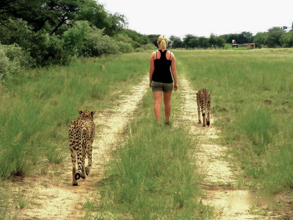 Namibia-harnas