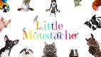 Design_sans_titre_20251010_135035_0000-removebg-preview.png