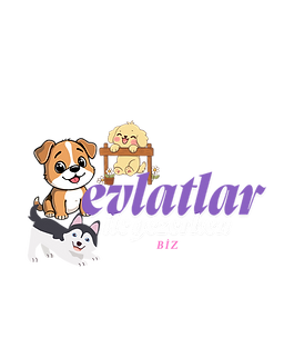 Kedi Köpek Taşıma