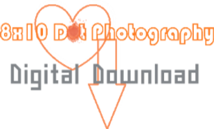 Digital Download logo - June 8, 2025