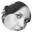 Writer: Christina Shivcharan