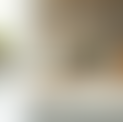 Effective Pest Control Strategies for a Pest-Free Home