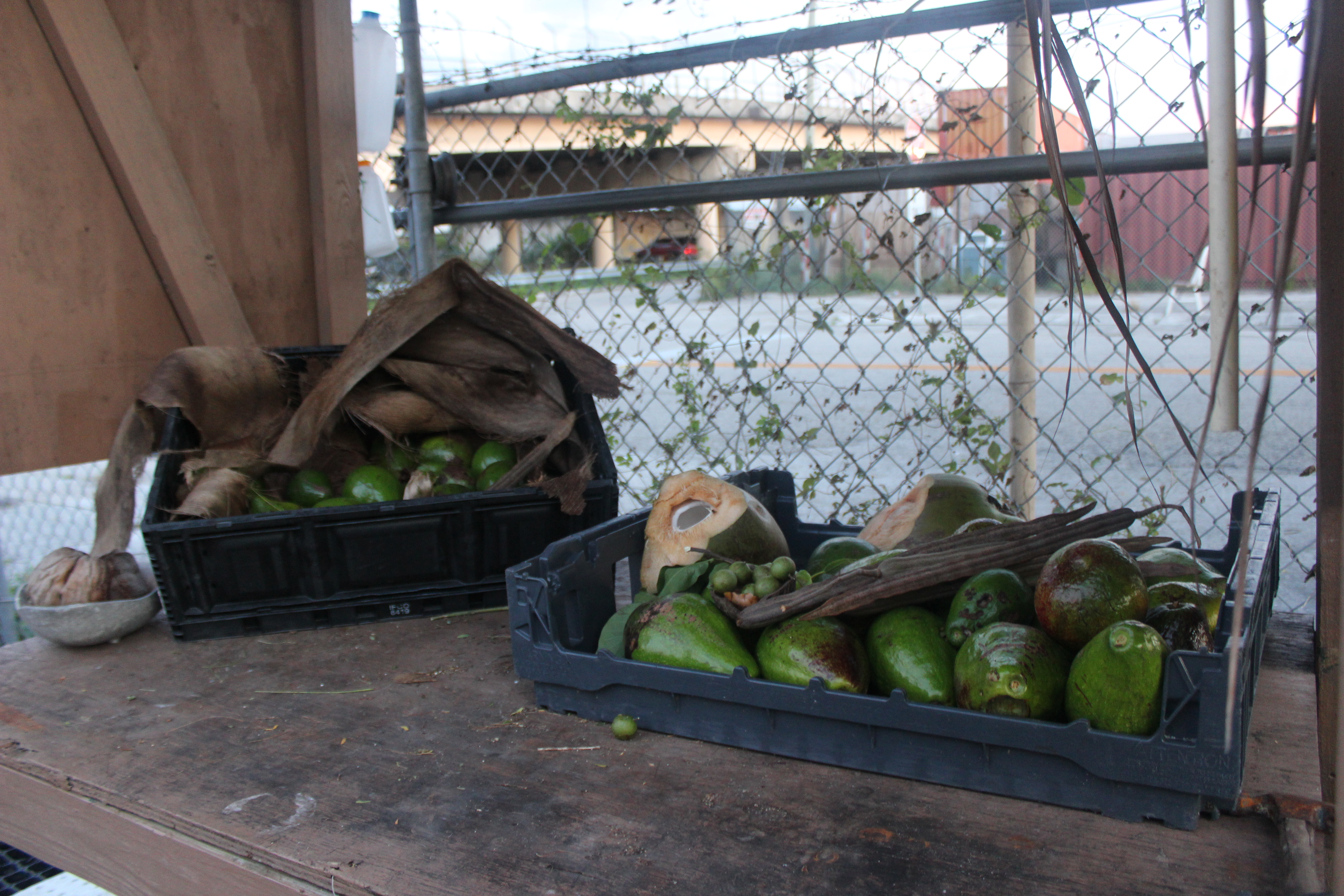 Local Wild Harvest