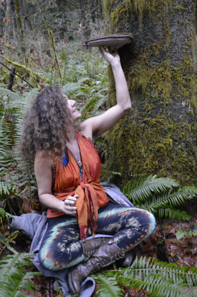 Reishi