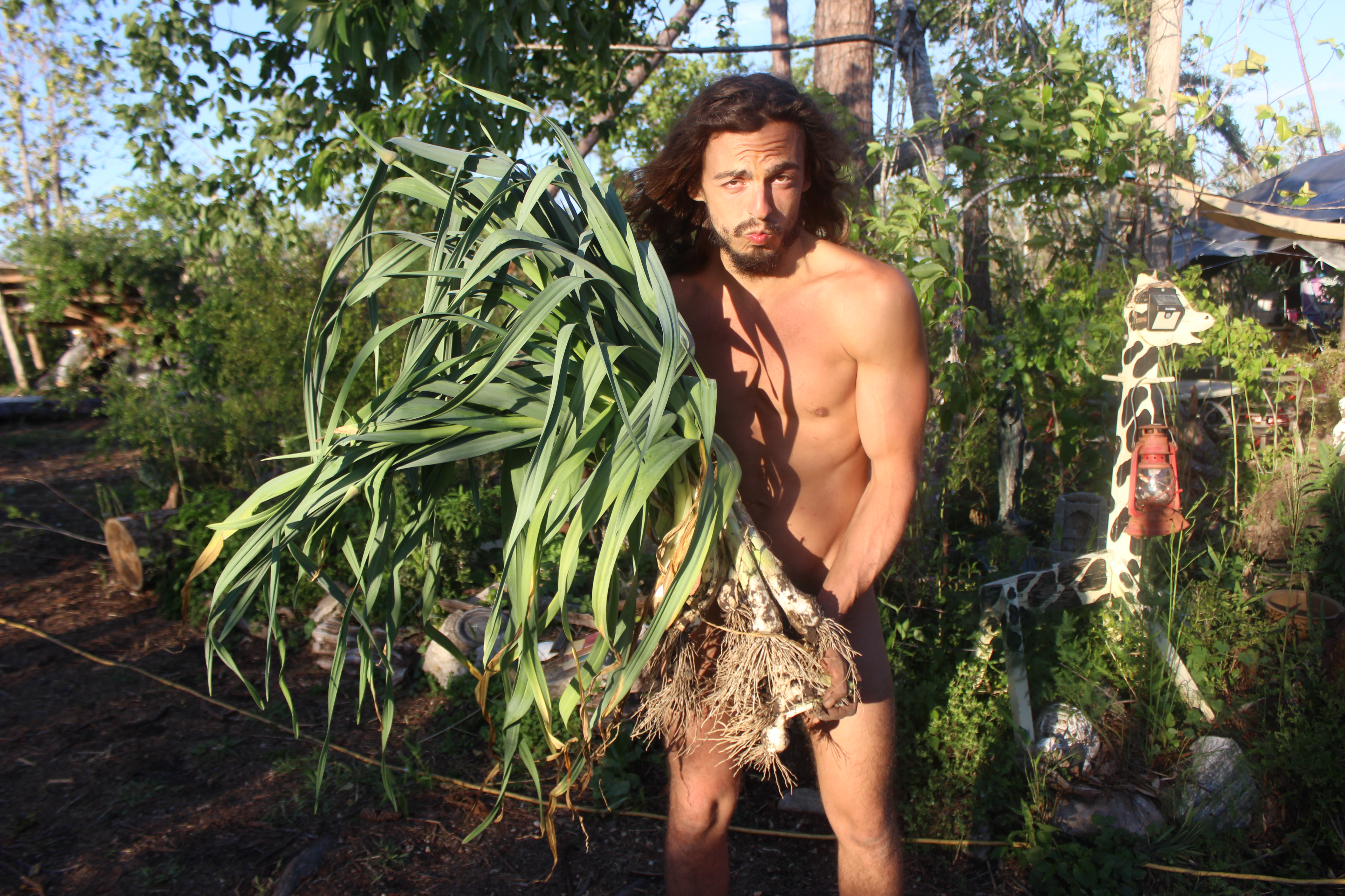 Homegrown Garlic