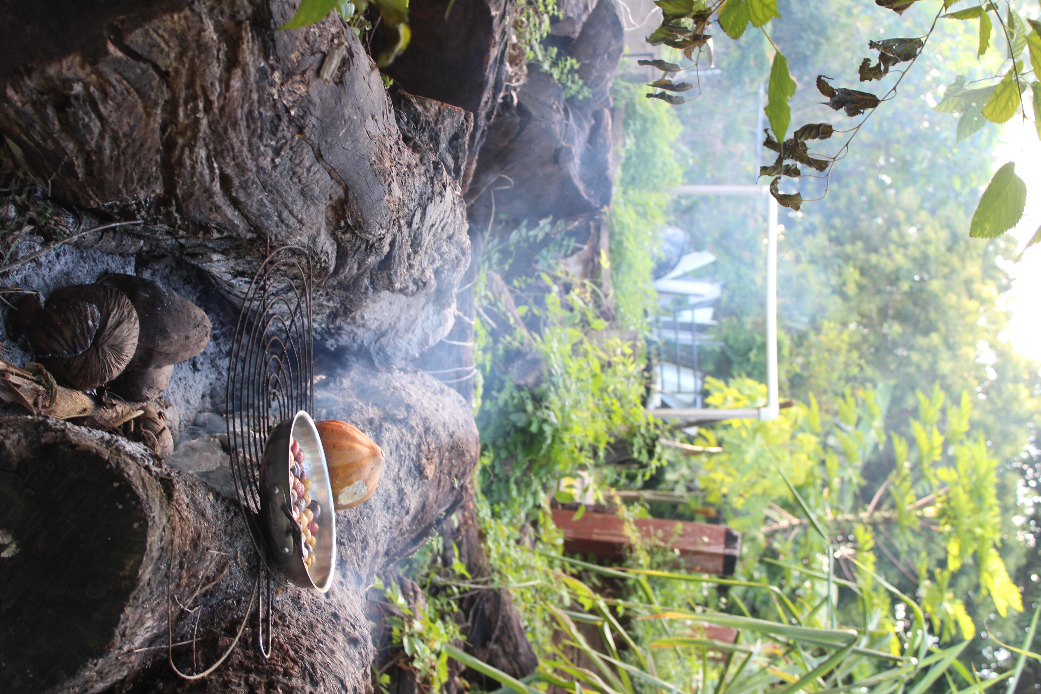 Food over the Fire