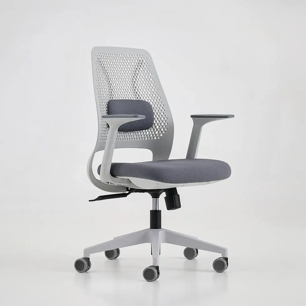 Thumbnail: Shilpa Classic Gary Low Back White Grey Office Chair