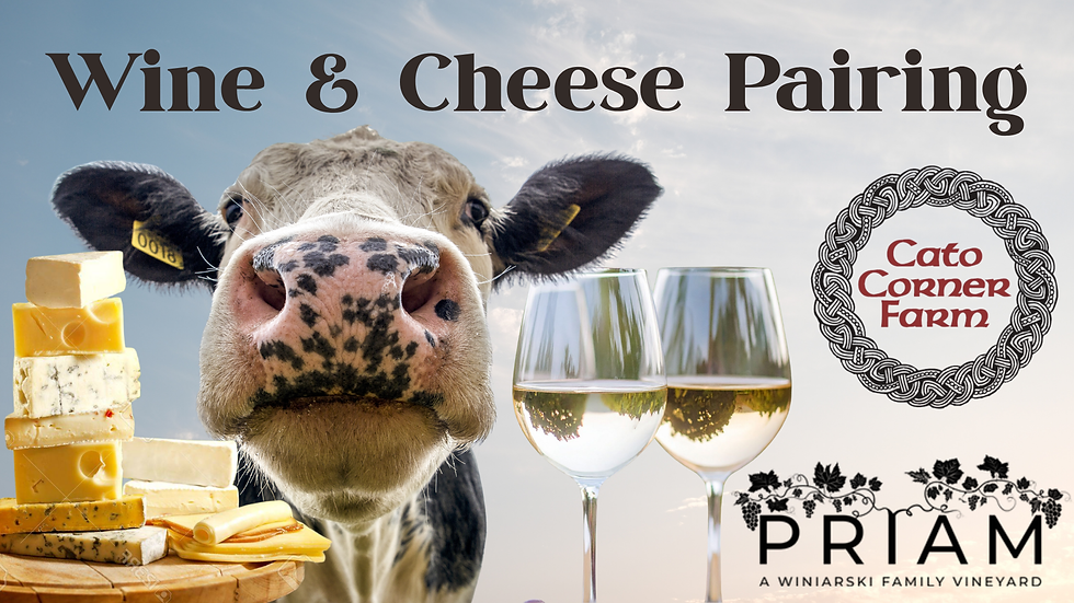 Wine & Cheese Pairing