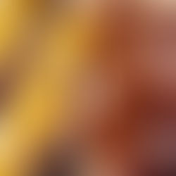 Imagine the luscious sweetness of ripe mango, the creamy tang of Greek yogurt, and the rich decadence of dark chocolate all in one delightful bite.