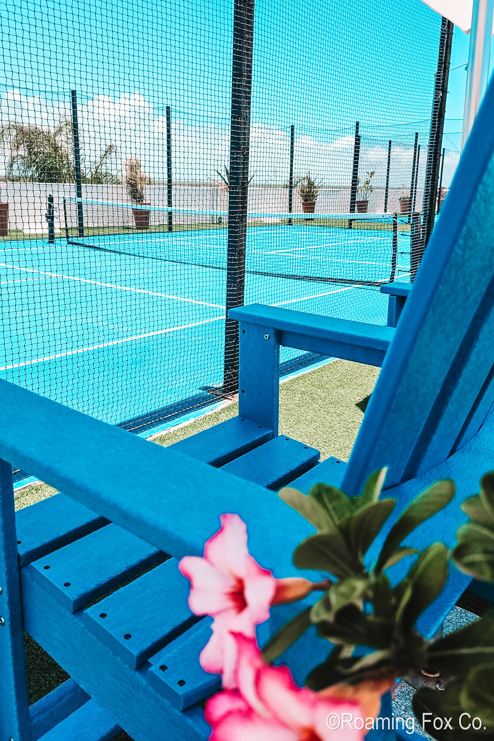 Blue Adirondack chair near a tennis court with vibrant blue surface. A pink flower and green foliage in the foreground. Sky is bright and clear.