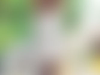 Branco continua sendo o Tom preferido pelos brasileiros na virada do ano