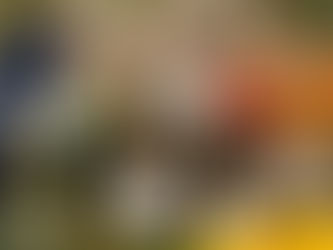 Luzeiro retoma turnê pelos coretos do Rio de Janeiro