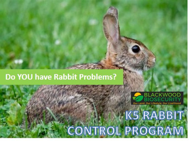 DO YOU HAVE A RABBIT PROBLEM AT YOUR PROPERTY?