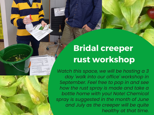 Bridal creeper rust spray workshop