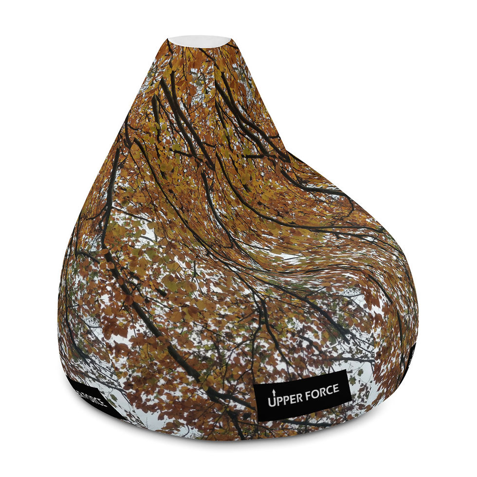 Thumbnail: Bean Bag Chair Cover